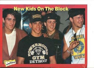 New Kids on the Block, Full Page Pinup, NKOTB, Danny Wood