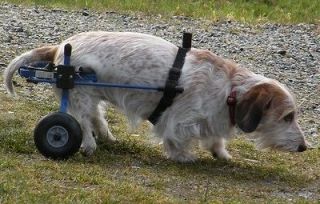   Carts™ Standard Dog Wheelchair MADE in USA X Small 2 Wheel Pet Cart