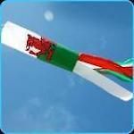 Windsock Tubetails   WALES   for use with telescopic flag pole