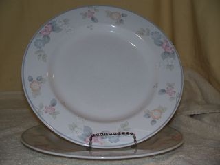 pfaltzgraff wyndham dinner plates set of 2 