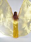 New Style Professional Belly Dance transparent fabric isis wings Gold 