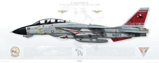 14 Tomcat Print 3 feet / 1 meter   Various Squadrons Available