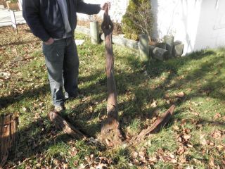    LARGE ANTIQUE NAUTICAL BOAT SHIP ANCHOR 5 7 FEET LONG OVER 150 YEARS