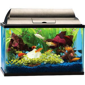 Tetra Small 5 Gallon Starter Fish Tank Aquarium Kit Hood Light Filter 