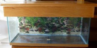 75 Gallon Fish Tank Aquarium with Wooden Lid