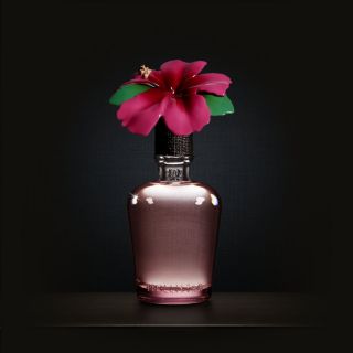 Hollister Sadie Perfume 2 0 by Abercrombie and Fitch