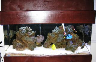    NR 75 gallon and 50 gallon saltwater fish reef tank acrylic aquarium