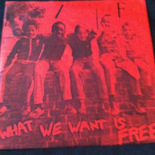 Articles Of Faith What We Want Is Free 7 Vinyl Ep Mint Condition