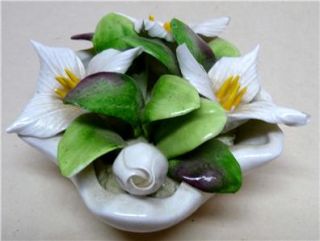 royal adderley floral arrangement bone china england