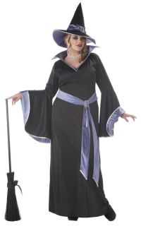   The Glamour Witch Plus Size Adult Halloween Costume 01646