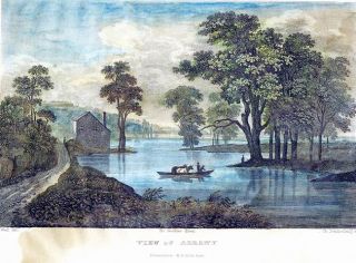 View of Albany, antique print, Ch. Dammerlang SC