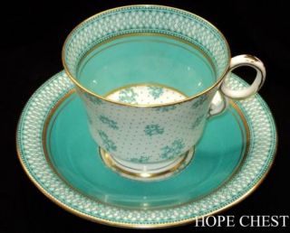 Paladin Hughes Polka Dot Rose Turq Tea Cup and Saucer