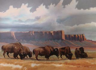 Orig 20x30 Donal Jolley Watercolor Painting Western Cowboy Art Buffalo 