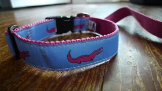    inspired dog leash and adjustable collar pink blue with ALLIGATORS