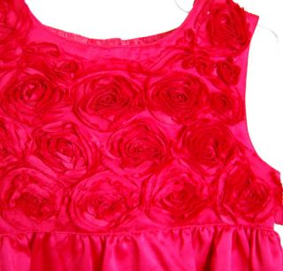 Carters Child Girl Red Rose Christmas Valentines Day Dress Size 5T 