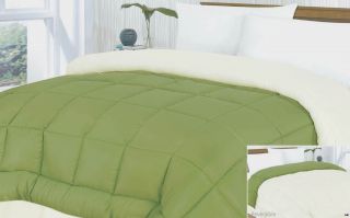   Green and Ivory Down Alternative Microfiber Comforter