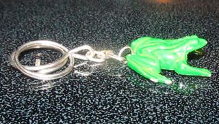   Keychain Key Chain Reptile Amphibians Car House Boat House Metal Ring