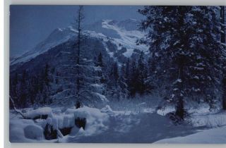 Postcard MT Alyeska in Moonlight Near Anchorage Alaska