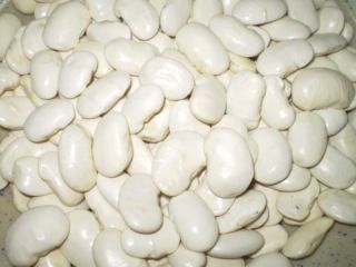 Organic Gigandes Beans Gigantes Yigandes Greek Giant White Fasolia 