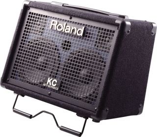 roland battery powered keyboard amplifier standard item 485384 