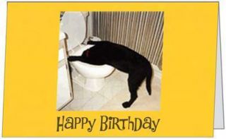 Birthday Funny Animal Dog Friend Birthday Humor Greeting Card by 