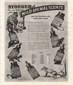 1953 Animal Scent Ad Trapping Skunk Muskrat Fox