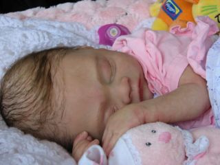   Babies Reborn Baby Girl Doll by Andrea Price Exquisite Detailed