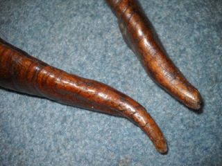 Pair of 2 Antelope Horns Antlers Twisted Spiral 21 Long