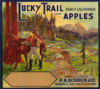 Lucky Trail RARE Vintage Apple Crate Label 1920s Cali