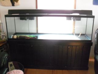 125 gallon aquarium with stand 2 filters 2 power heads and heater and 