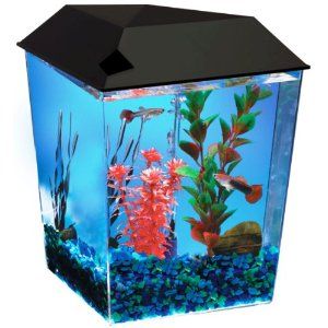 aquarius1 1 gallon tank aquarium system aq11104blk