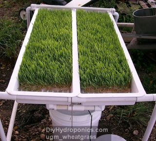 DIY Hydroponics Aquaponic Systems How to Plans Gardening Kit 