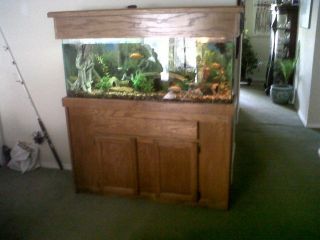 55 Gallon Aquarium Fish Tank Wood Stand with Canopy