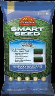 Kentucky Bluegrass Blend Smart Seed Pennington 7 Bag