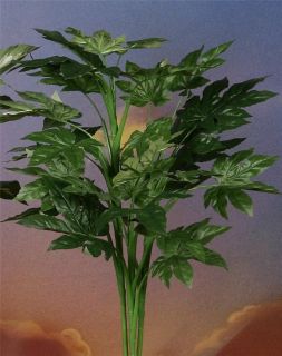 Artificial Aralia Tropical Silk Plants 36 Tall CLOSEOUT Pricing 742 