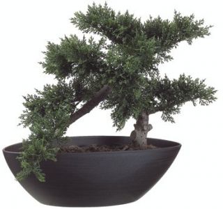 14 5 Artificial Bonsai Tree Plant Topiary in Outdoor