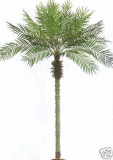 foot Artificial Phoenix Palm Tree Plant Bush Silk Leaves Pool Patio 