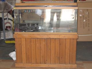 55 Gallon Aquarium on Wooden Stand with Light