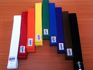 Martial Arts Belt Karate Taekwondo Judo Jiu Jitsu Size 000 6 All Color 