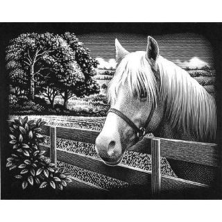Scraperfoil Engrave Art Kit Pony Horse Engraving
