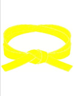 Karate Yellow Belt New Martial Arts Tang Soo do 0 7
