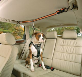Kurgo Car Auto Zip Line Dog Pet Harness Leash Large