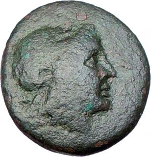 307BC Megara Attica Ancient Greek Coin Apollo EX BCD