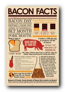 bacon facts poster 241089