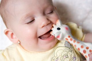 Sophie The La Giraffe Original Baby Teether Teething Pacifier Chew Toy 