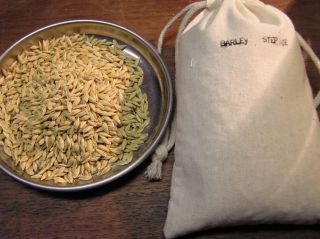 Barley Seed Over 500 Gram Cloth Bag Steptoe Varity