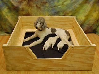 Whelping Box 6x4 XXLARGE w/RAILS Dog,Puppy,Pen,​Free S&H