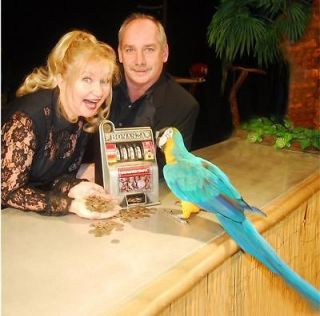 tickets to squawk bird show in las vegas time