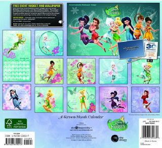   Disney Fairies Animation Art 16 Month 2013 Wall Calendar, NEW SEALED