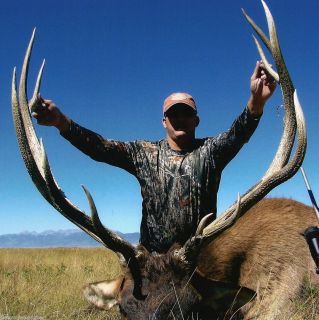   bull elk hunt discounted 1000 for a total of 7 seats only 2012 season